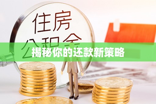 铁岭揭秘你的还款新策略