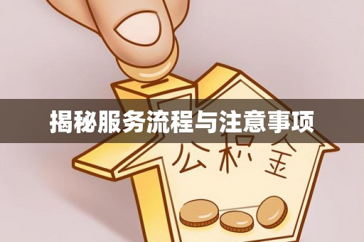 铁岭揭秘服务流程与注意事项