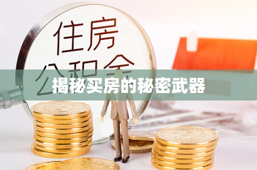 铁岭揭秘买房的秘密武器