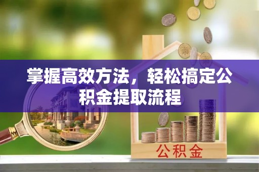 铁岭掌握高效方法，轻松搞定公积金提取流程
