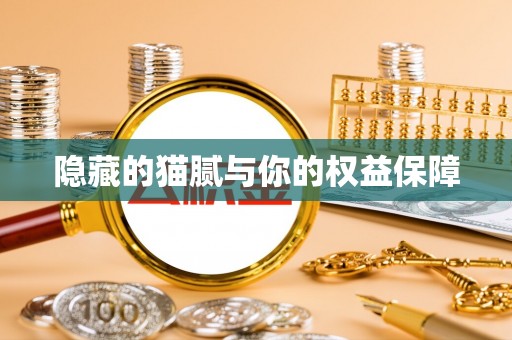 铁岭隐藏的猫腻与你的权益保障