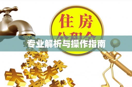 铁岭专业解析与操作指南