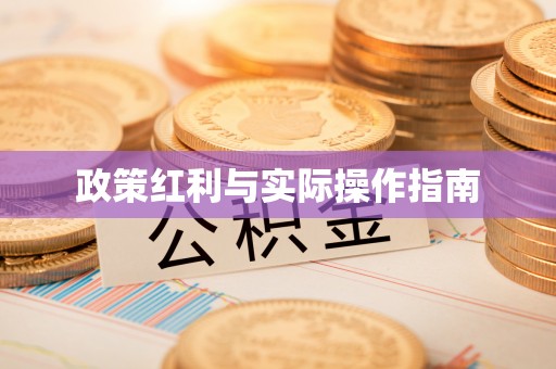 铁岭政策红利与实际操作指南